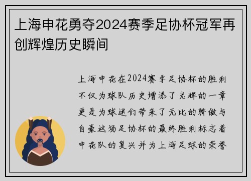 上海申花勇夺2024赛季足协杯冠军再创辉煌历史瞬间